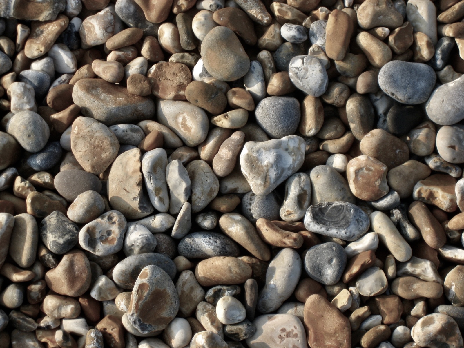 A field of smooth, weighty pebbles on a beach — each one carrying its own gravity.