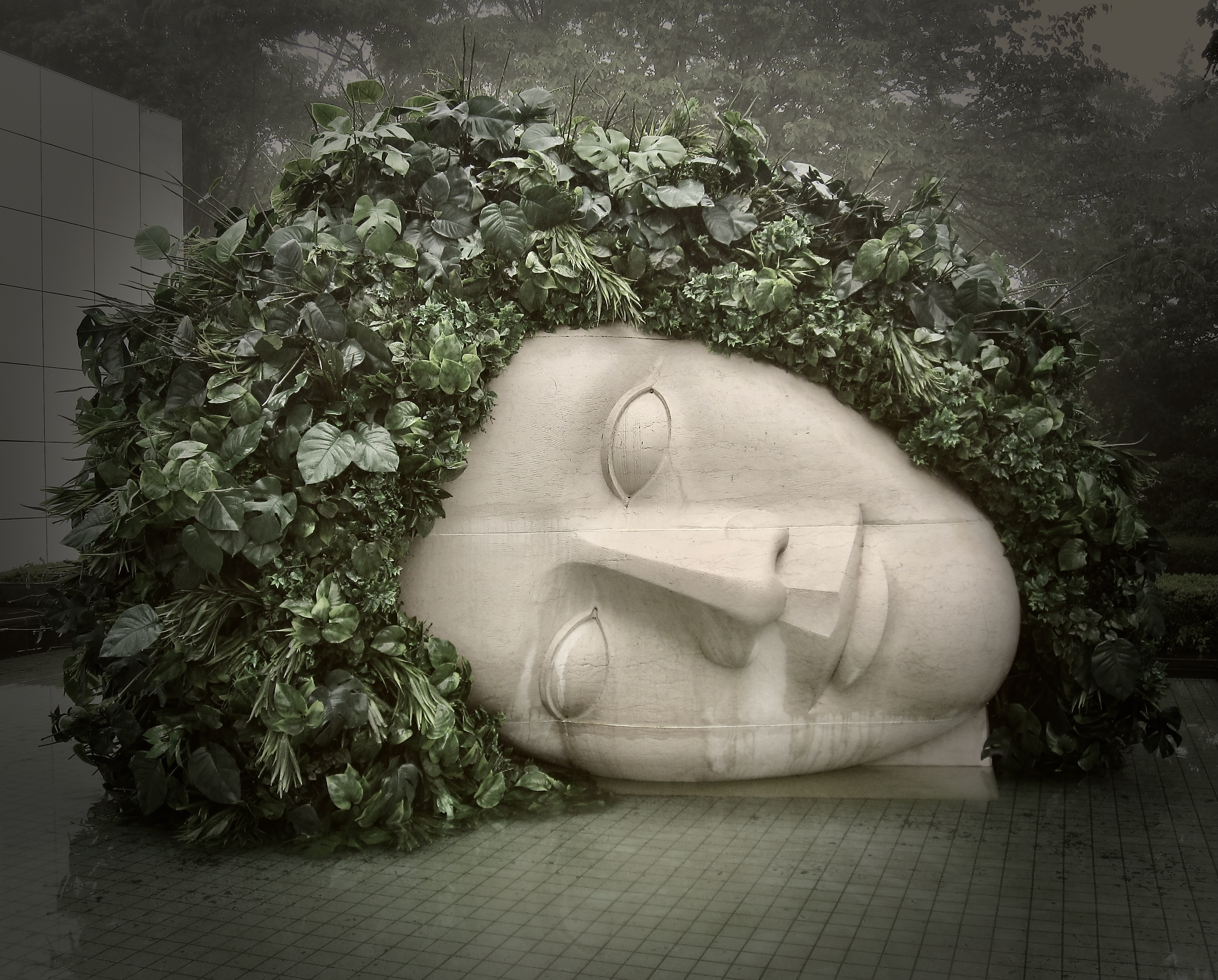 A serene sculpted face nestled in a cocoon of green leaves — stillness inside abundant growth.